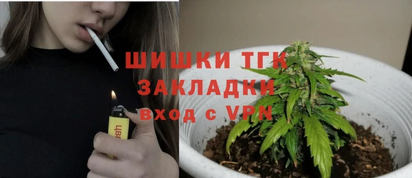 прущие грибы Баксан