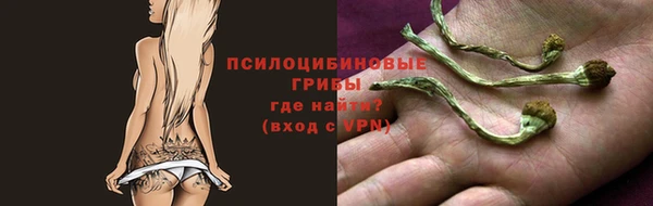 эйфоретик Балахна