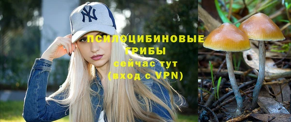 прущие грибы Баксан