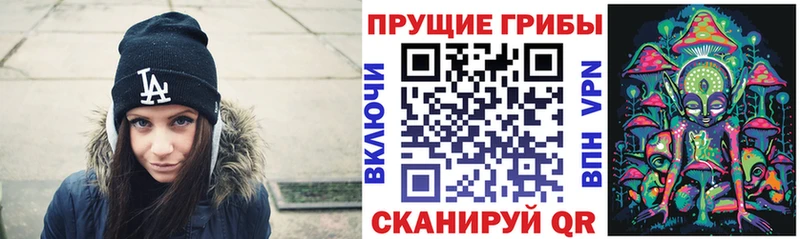Галлюциногенные грибы Psilocybine cubensis  Козельск 